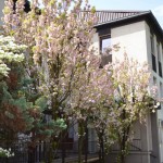 MIH_3057 MIH_3057