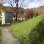 DSC04549