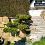 IMG_20190216_140332