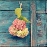 14876575_10202161229469648_5708458284426900373_o